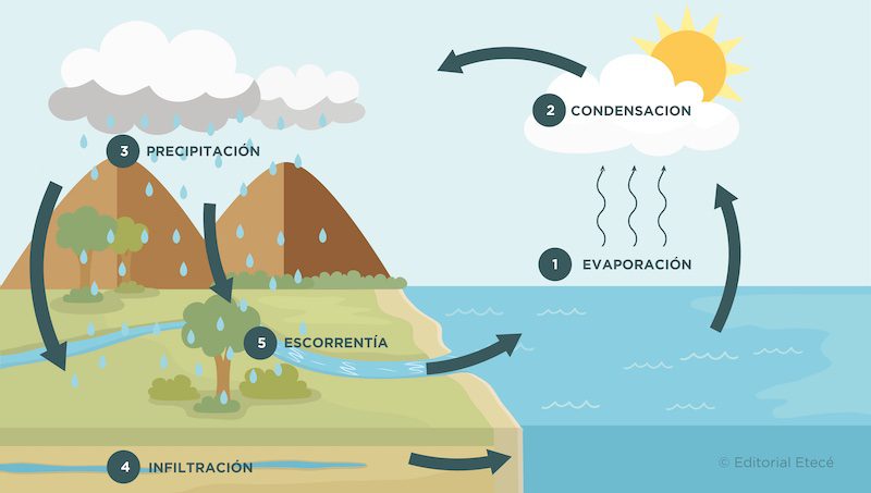 Cómo hacer una maqueta de los ciclos del agua 1 ciclos agua