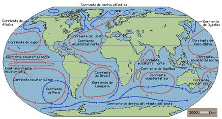 Corrientes oceánicas y distribución de especies
