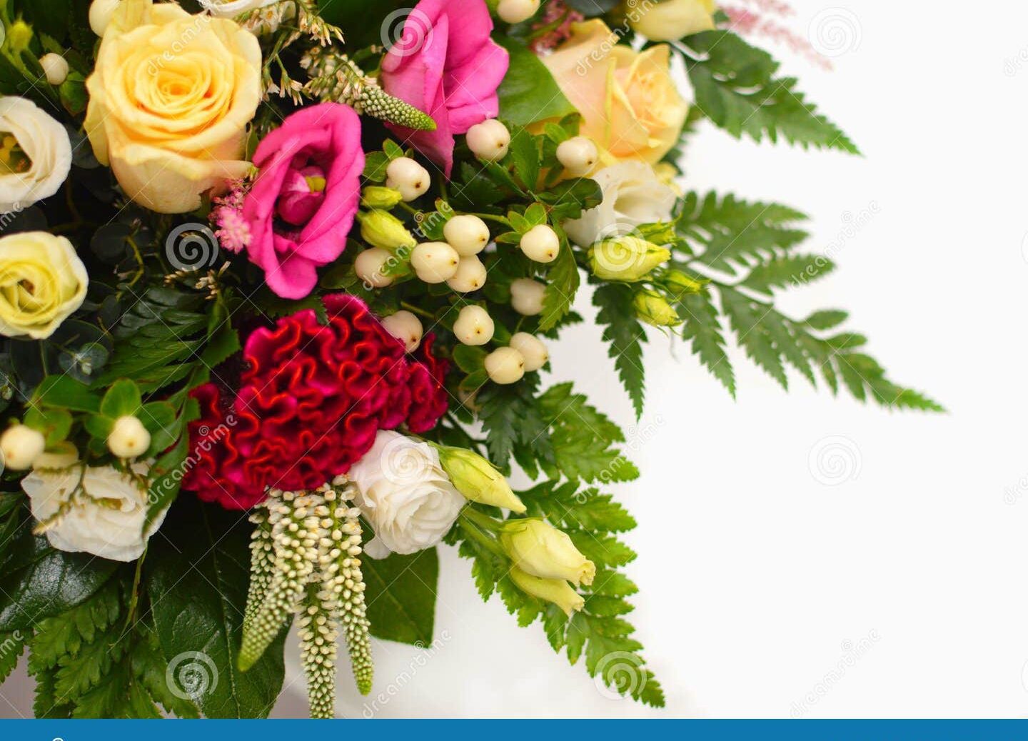 Qué flores son ideales para regalar a una amiga querida