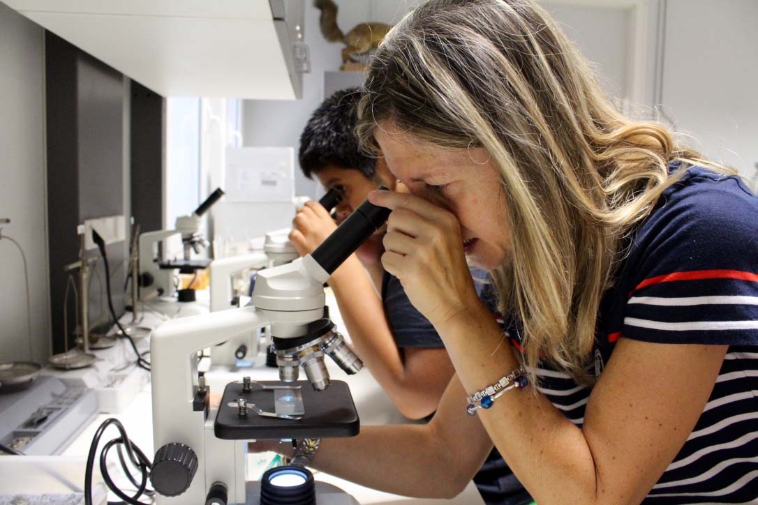 Microscopio observando células en laboratorio
